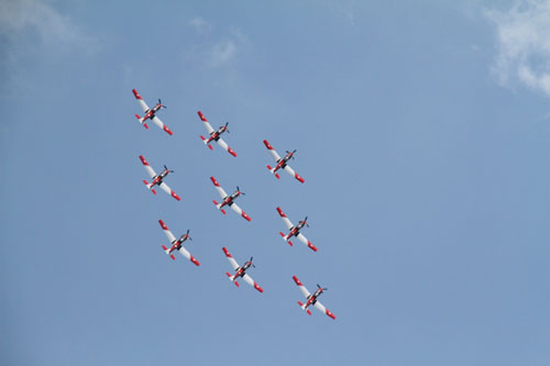 11-08leman8606