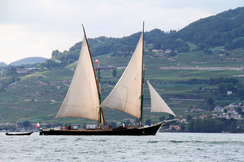 11-08leman8727