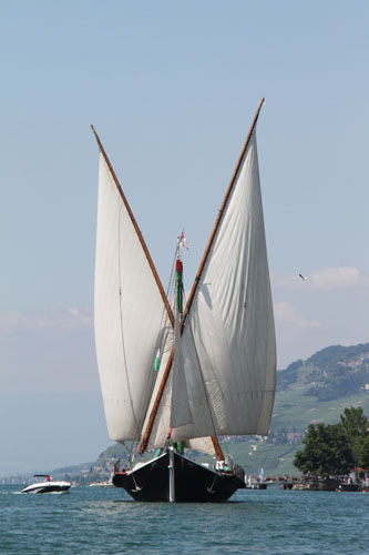11-08leman8930