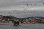 12-04sete9411