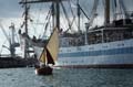 13-09tallships3992