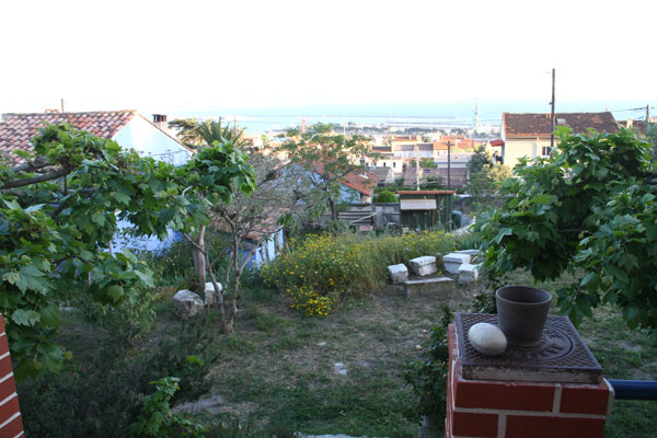 17-04san-anton4817