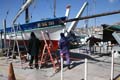 17-04san-anton4932