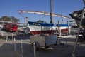 17-04san-anton4963rw